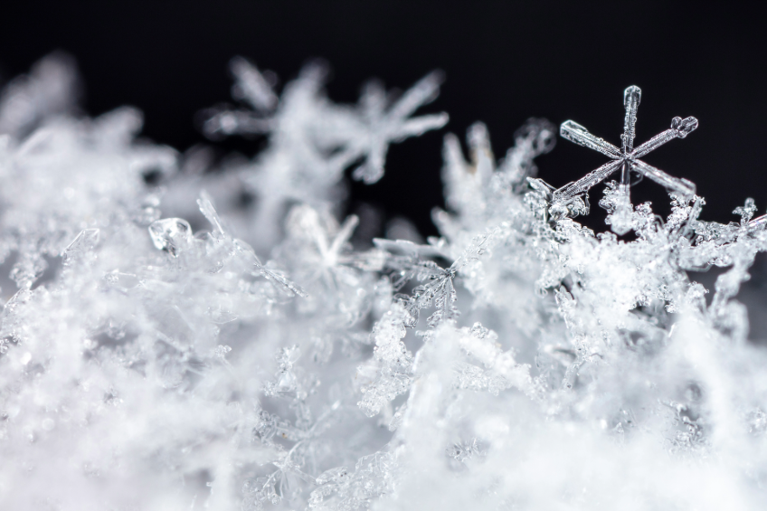 close up photo of snowflakes